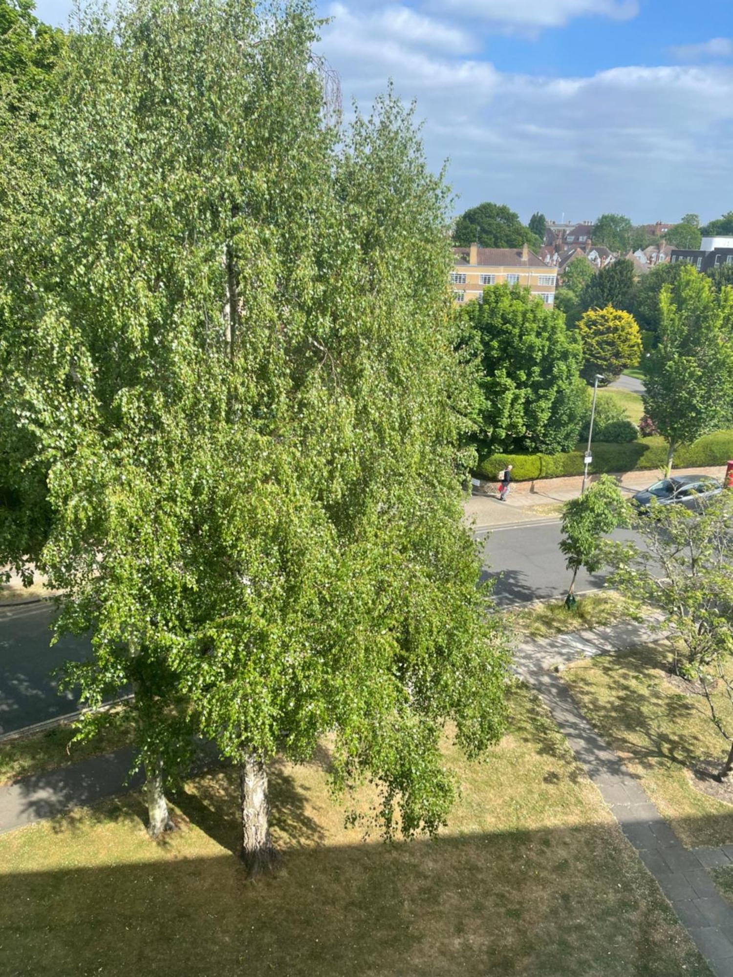Apartment with Garden View