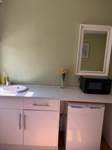 Deluxe Double Room Shower