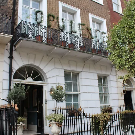 Opulence Boutique Hotel-2
