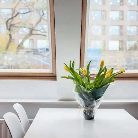 White City Apartment-2