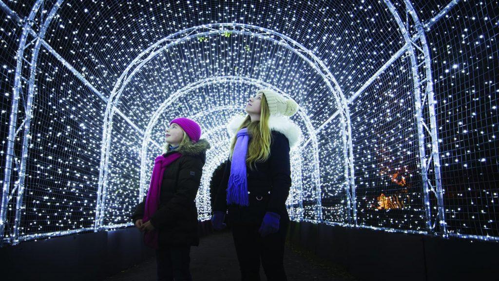 light festivals