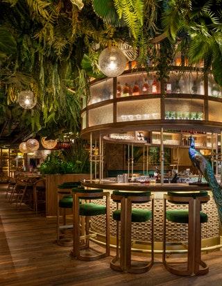 New Year's Eve at Amazónico Mayfair